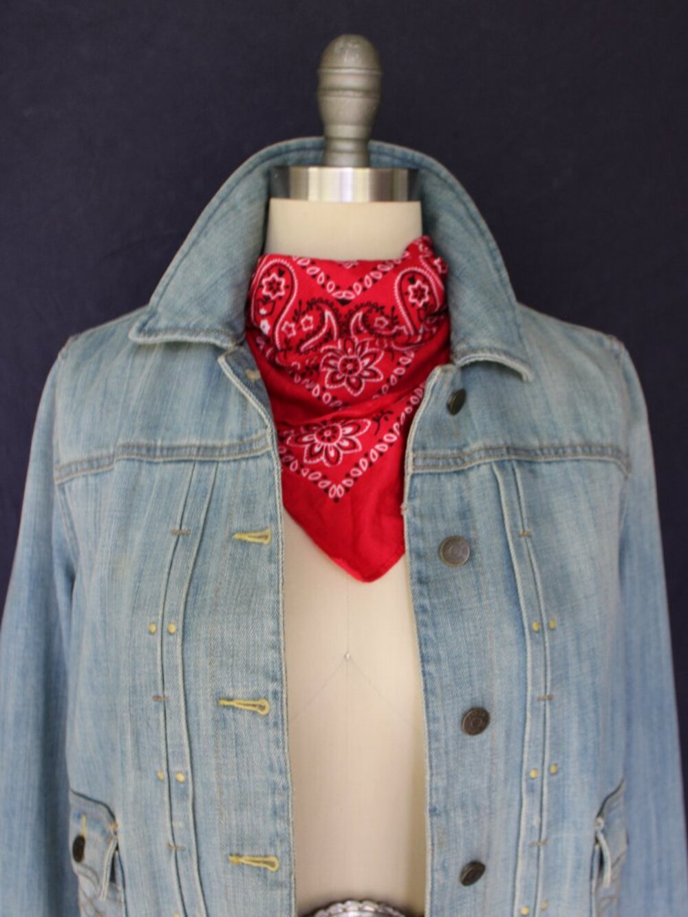 Lauren Jeans co. Ralph Lauren POLO RRL Denim Icon Trucker Jacket vintage western - Picture 7 of 10